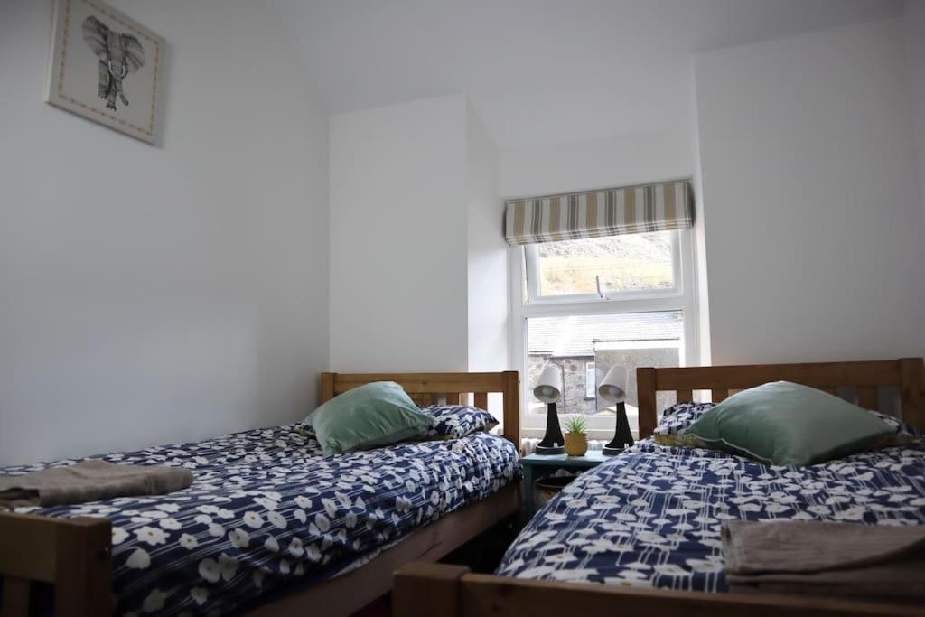 Dol Bach - Your Homely Welsh Cottage In The Heart Of Snowdonia Blaenau Ffestiniog Ngoại thất bức ảnh